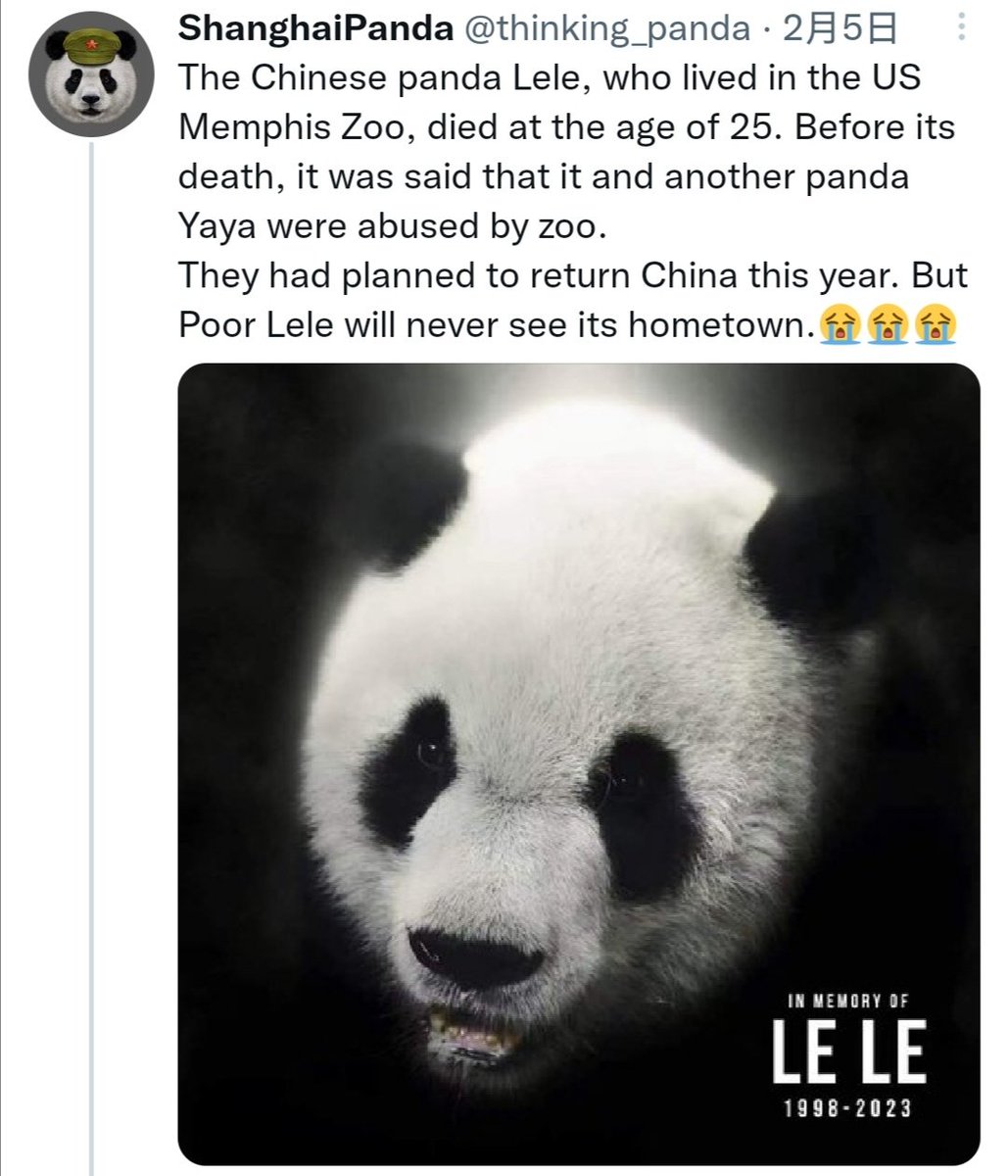 Shanghaipanda On Twitter ёяшвёяшвёяшв Shanghaipanda On Twitter ёяшвёяшвёяшв