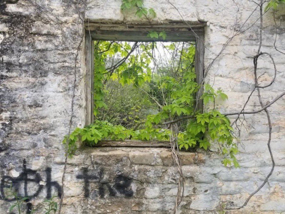 julia_doughty's tweet photo. Keep getting better. Keep learning. And don’t ever give up on yourself. You’re probably impacting people in ways you would never expect.

#StopCopCity #savetheplanet #waterislife #ancientstuff #savetheforest #forestdefenders 
#abolitionnow #SouthRiver #watershed https://t.co/SJTquI5yYt