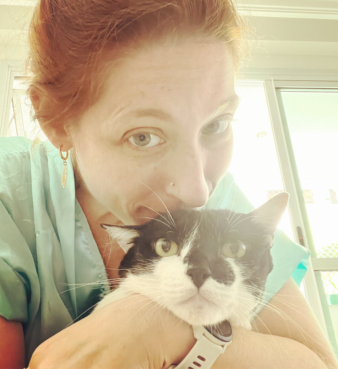 HauserDavis's tweet image. Squish the cat