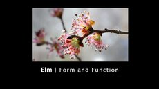 The creation of the Bach Flower Essence system was not an easy one. Dr Bach faced many trials and challenges in bringing his soul work to the world. These would have been the moments that Elm would be valuable. 

buff.ly/3BtJQVR