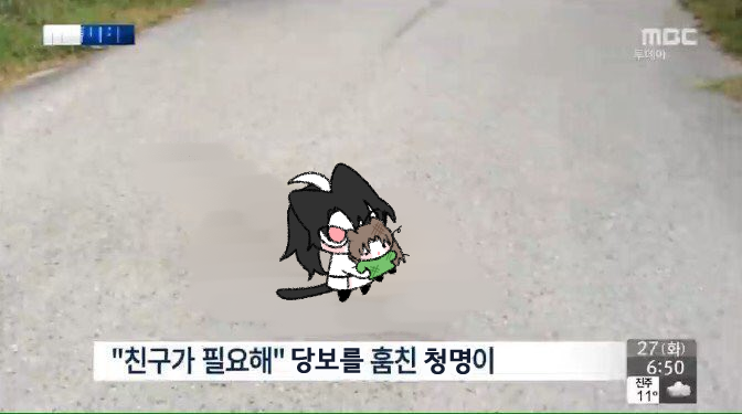 사형 저 친구 생겻어요
패봣는데 죽지도 않아요