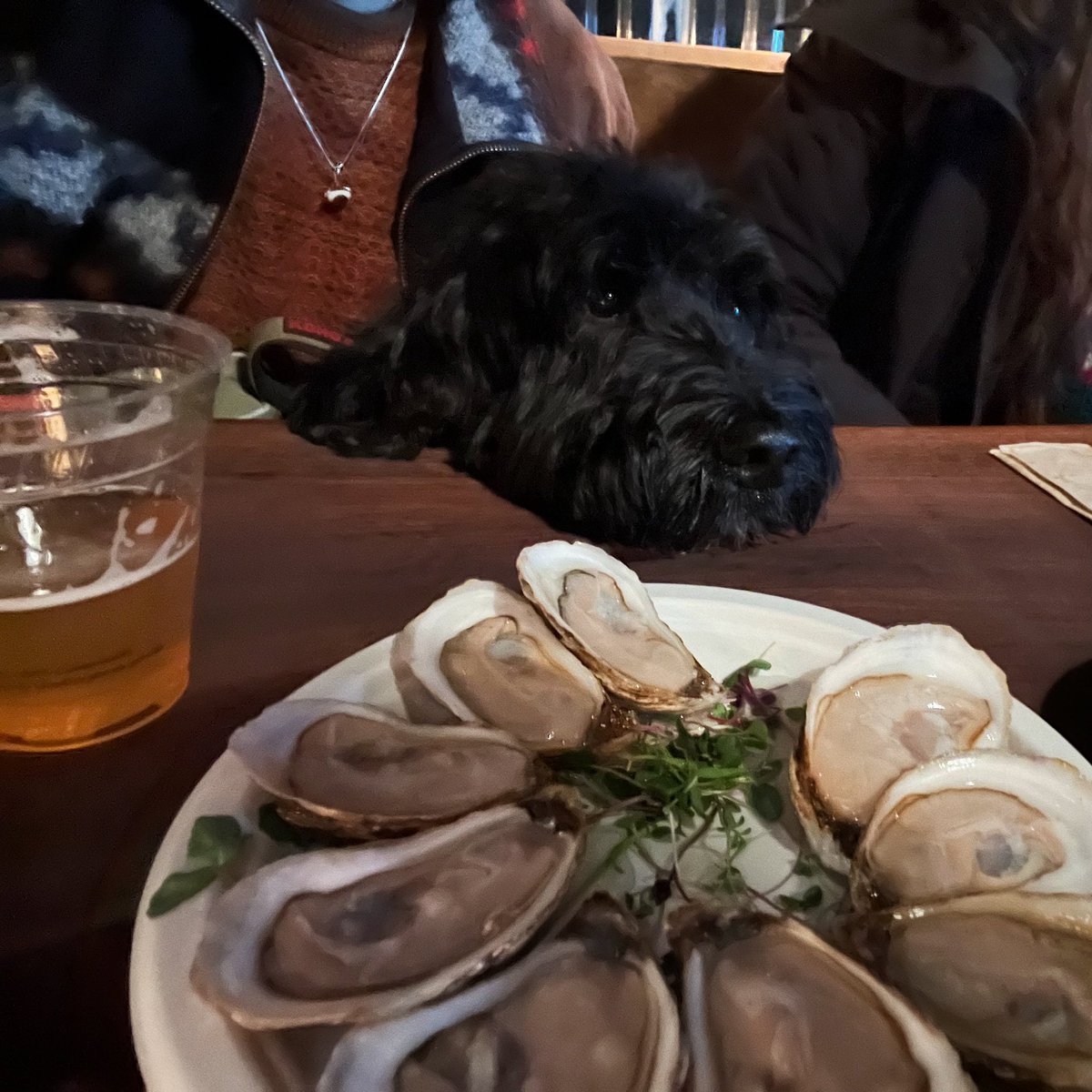 devsuth's tweet image. 