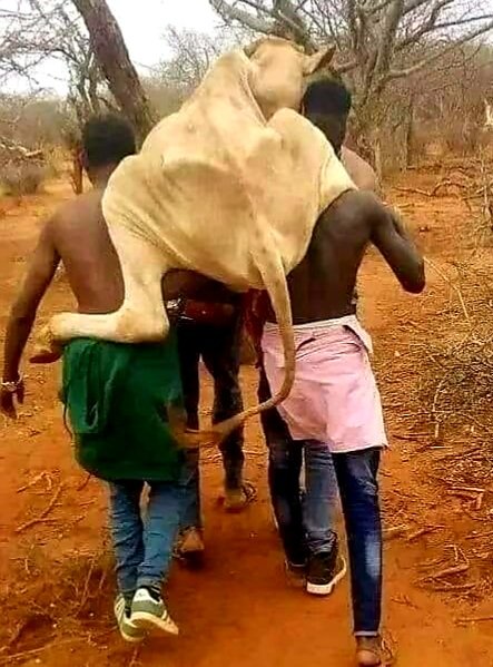 Moges Teshome tweet media