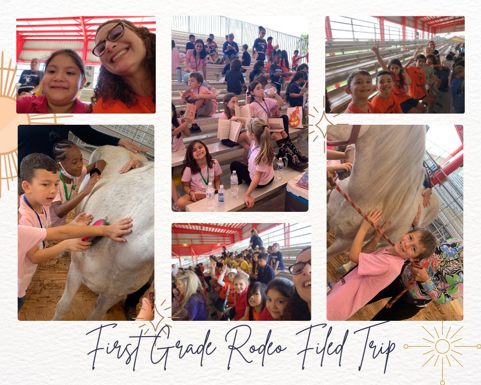 Flamingo Elem tweet media