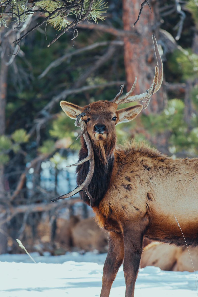 Who can guess what happened?