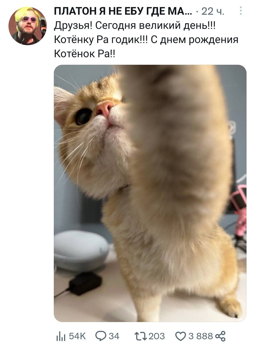 lol__chto's tweet photo. то, что твит про др котенка Ра собрал больше лайков, чем геометрия тьмы, многое говорит что о нашем обществе, что об этом альбоме https://t.co/aEVy6CmO12
