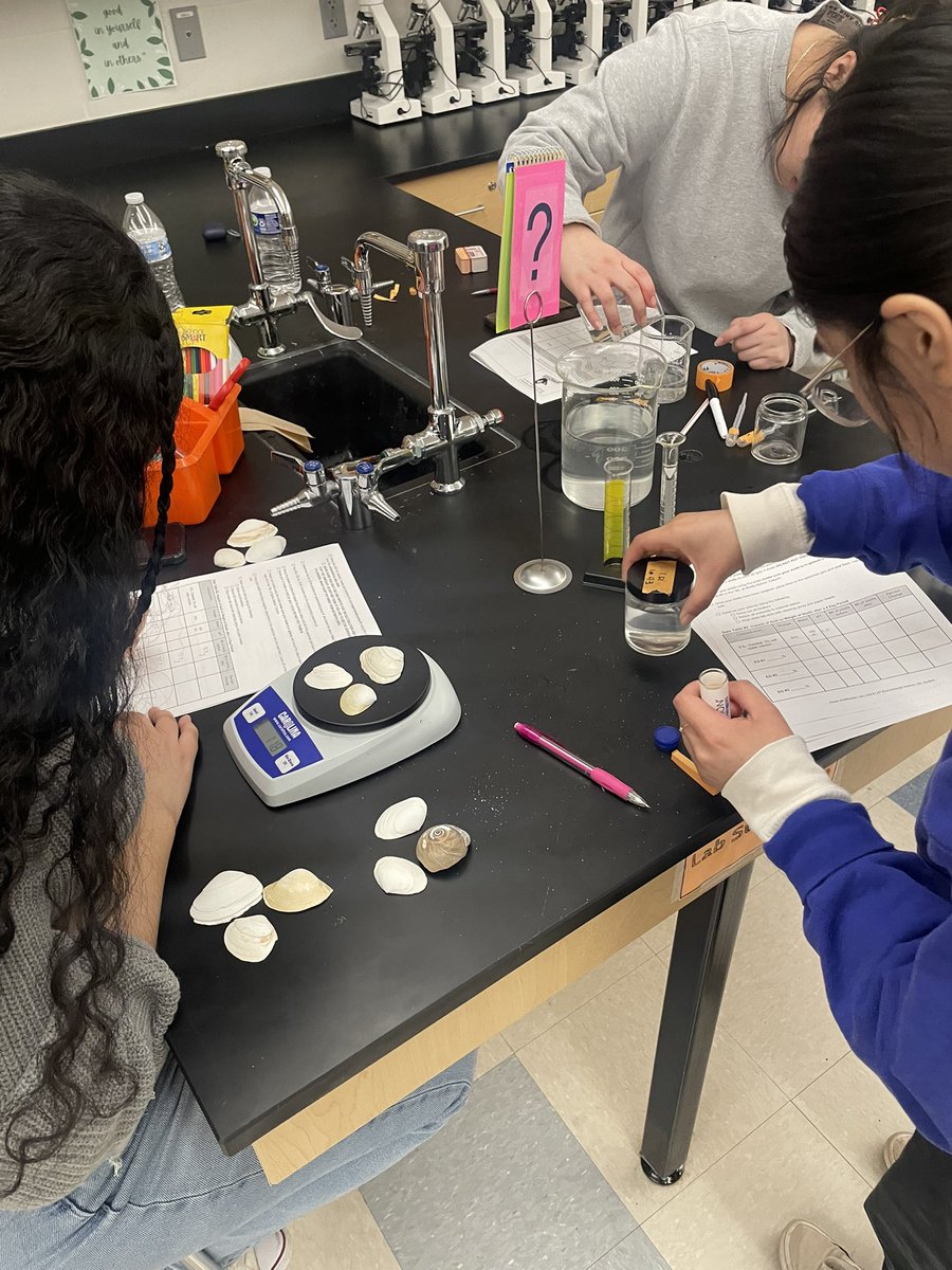 Ocean acidification lab day today in #APES! 🐚 🌊 Students are investigating the impacts of ocean acidification on marine organisms. @Mrs_Mongelli @nbpschools @NBHSZebras #NGSS #ALLIN4NB