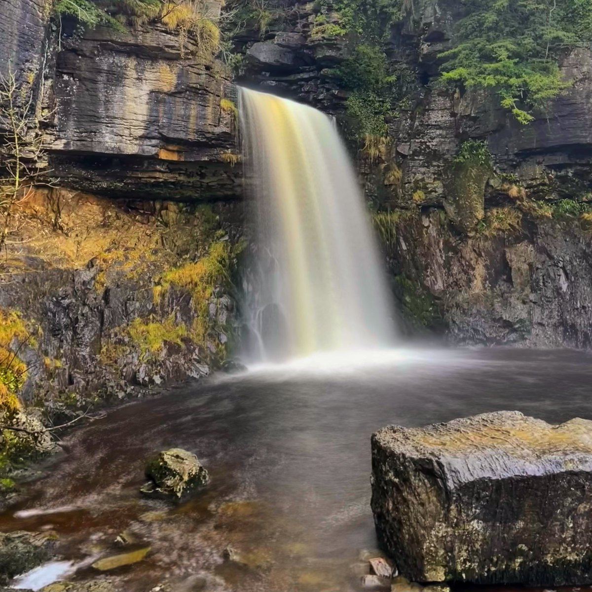 Derek Jones tweet media