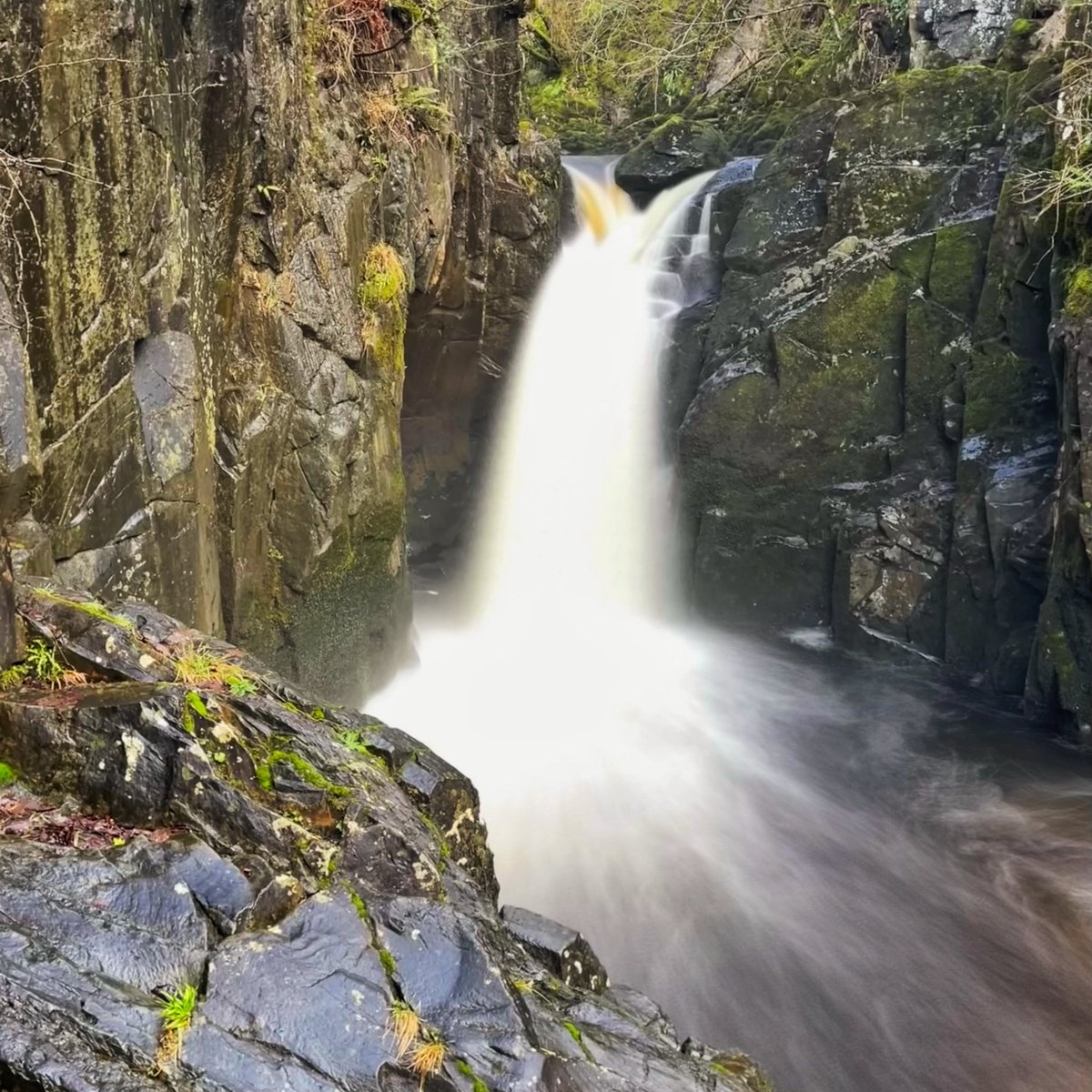 Derek Jones tweet media