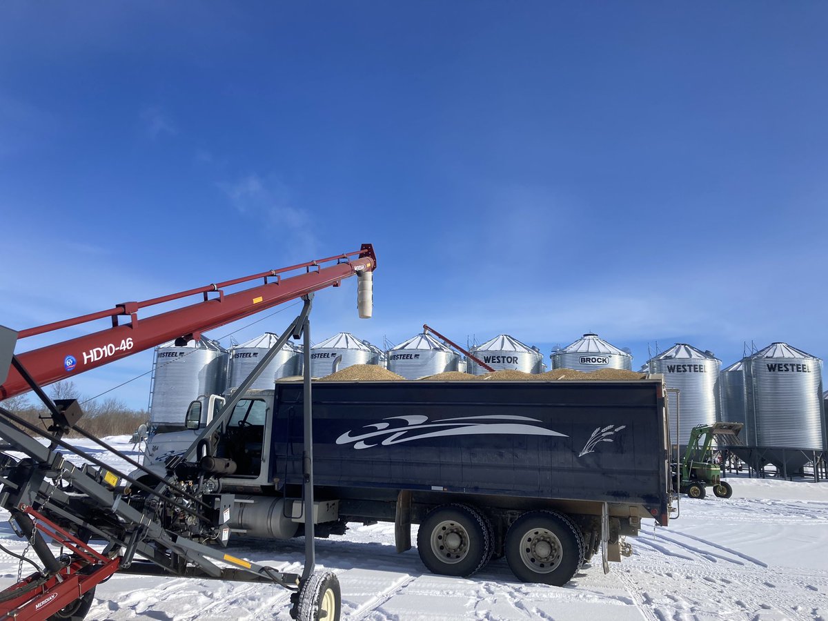 Murphy’s farming laws say that there is a inverse correlation with the outside temperature and the likelihood that your barley contract will get called for! (Or is it just that I’m the only sucker willing to load at -39?)🥴