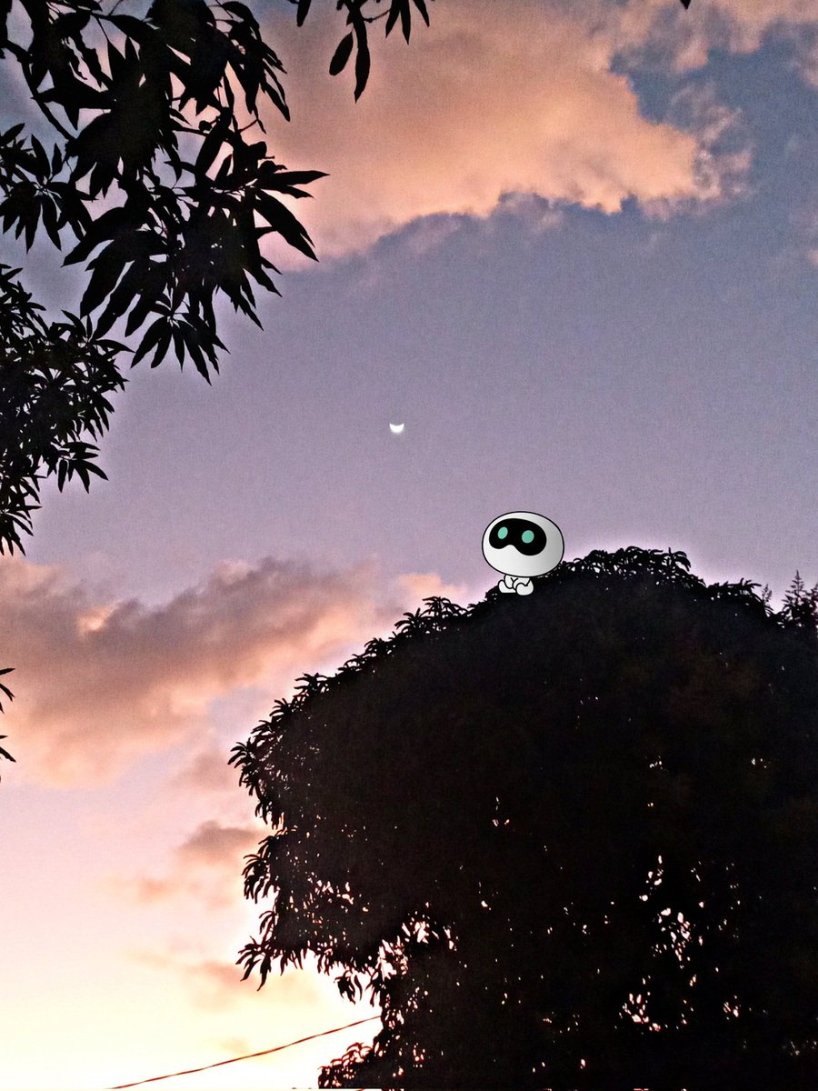 GuisselleFlore2's tweet photo. Tarde pero seguro... ๐๐๐ฝ
"Wootteo fue visto en Nicaragua" ๐ณ๐ฎโค
#WootteoWasHere @BTS_twt
FROM EARTH TO MOON
3 YEARS WITH MOON
#3YearsWithMoon
#Moon #Jin https://t.co/ohGesRucJH
