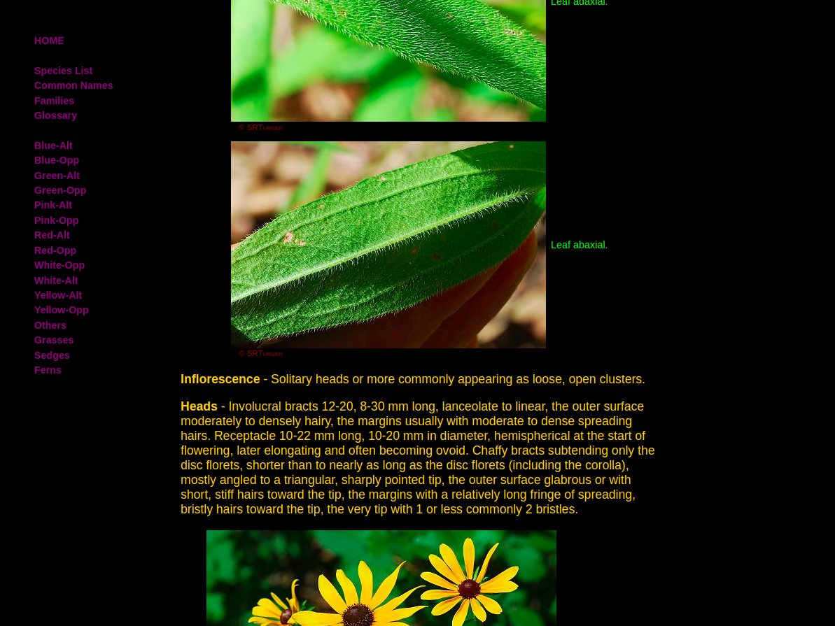 bplant.org tweet media