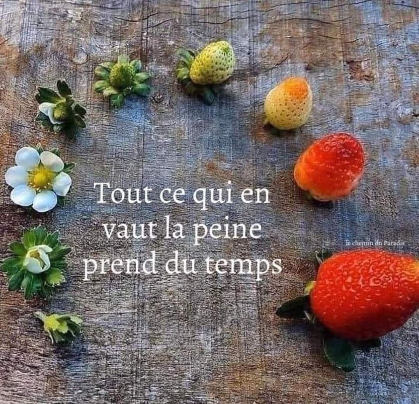 #citations #citation #citationdujour #citationamour #amour #love #citationdusoir #proverbe #citationtriste #texte #penseedujour #quotes #penseepositive #ecriture #couple #instacitation #citationinspirante #phrasedujour #citationcouple #motivation #pens #tweet #citati