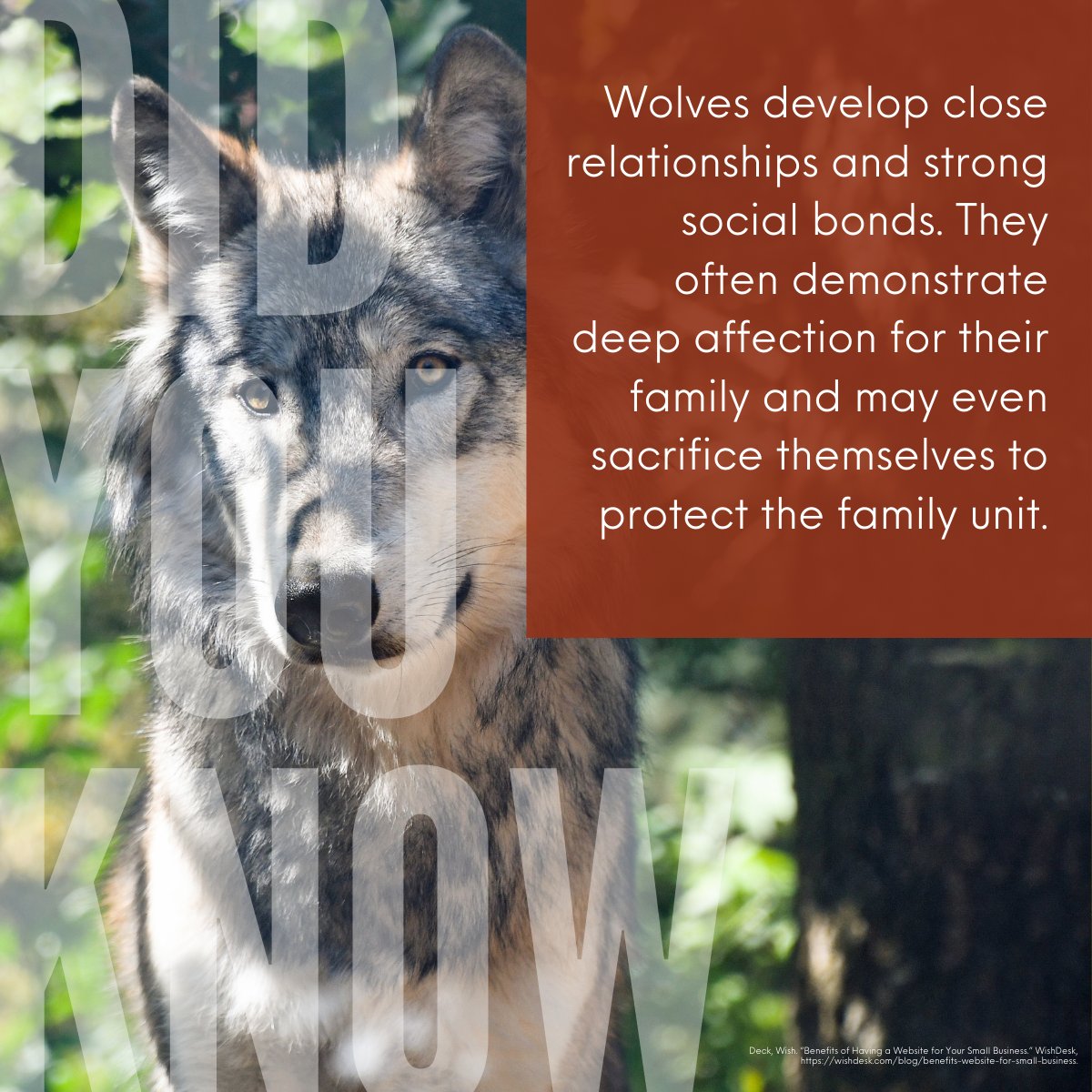 Turner Endangered Species Fund tweet media