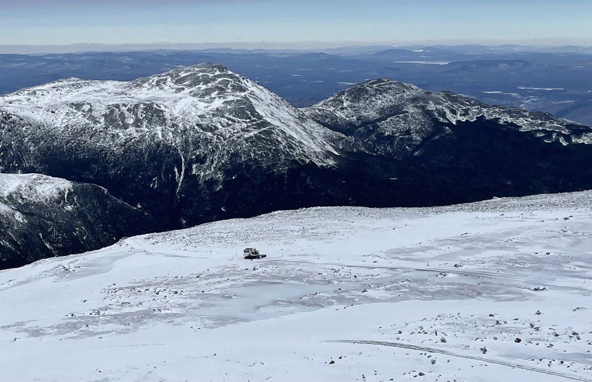 Wendy Almeida ☀️ tweet media