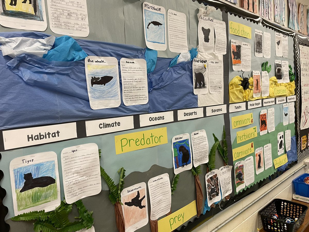Grade 4 students loved making these endangered animal trading cards! It was so interesting to learn about how humans contribute to animal extinction, and also, what we can do to help! <a href="/avenue_lake/">Lake Avenue Public School</a> <a href="/HWDSB/">HWDSB</a>