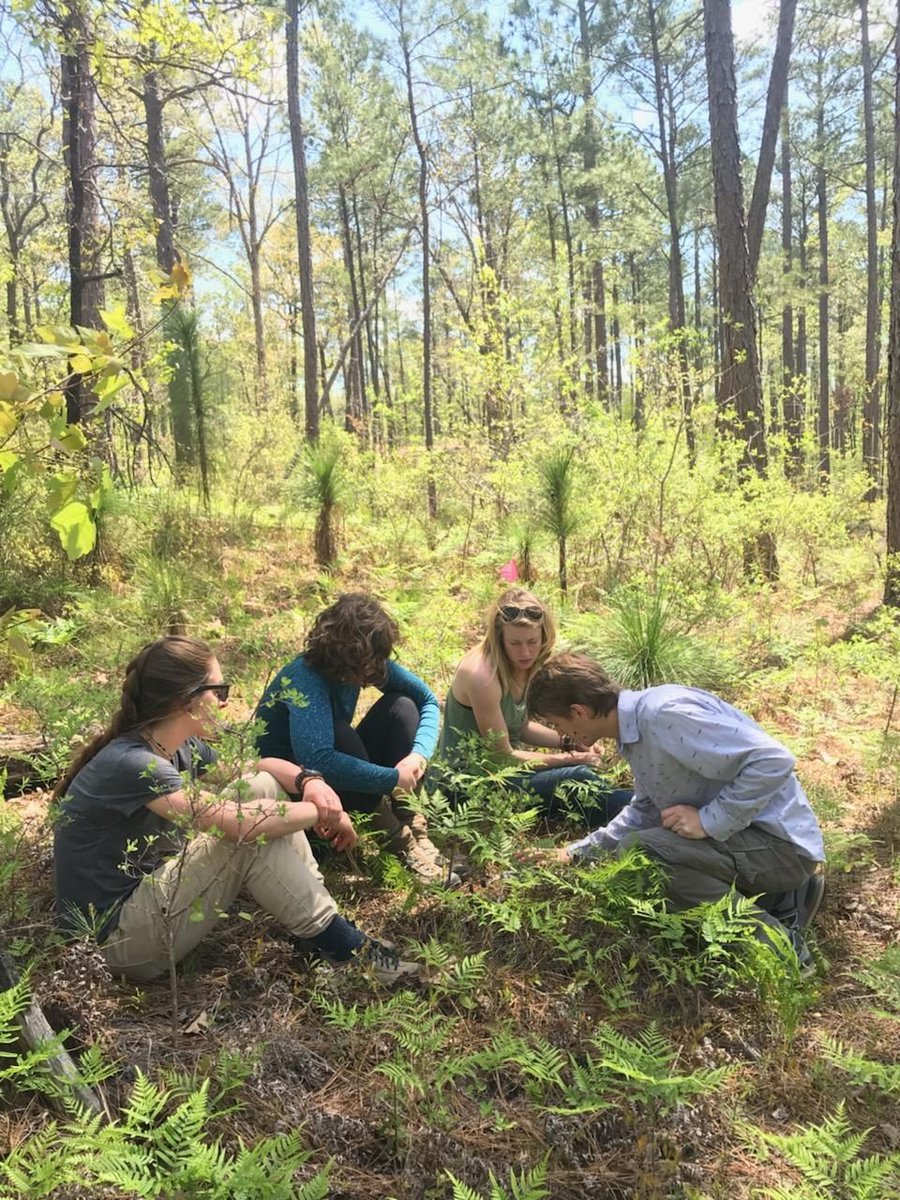 NEON is hiring seasonal field technicians in Alabama, our Ozarks Domain!
The NEON sites in Alabama provide a window into watershed dynamics in the southeastern U.S. Gain field experience with this continental ecology program!
Alabama TFT openings: buff.ly/3HjRAj7
