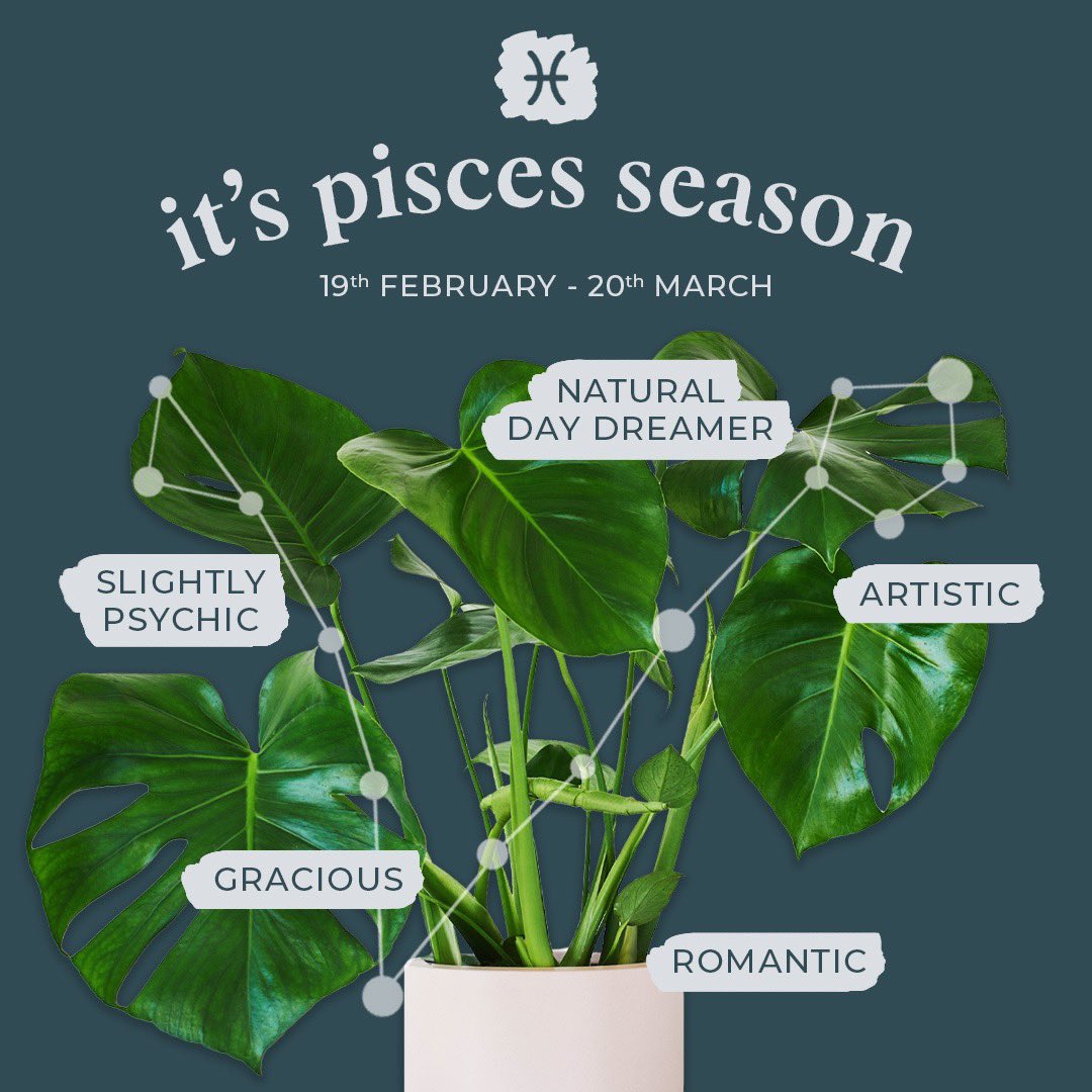 Beards & Daisies tweet media