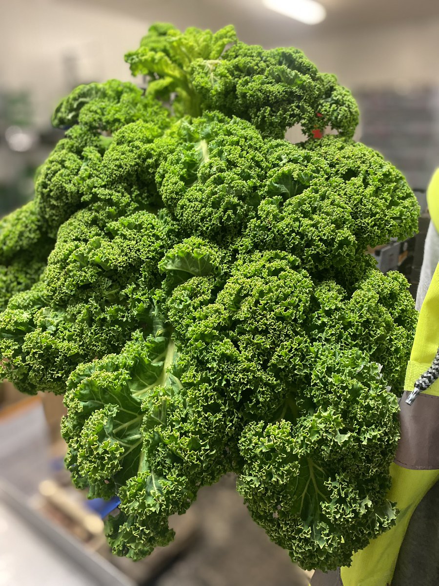 Fruit Basket Direct tweet media