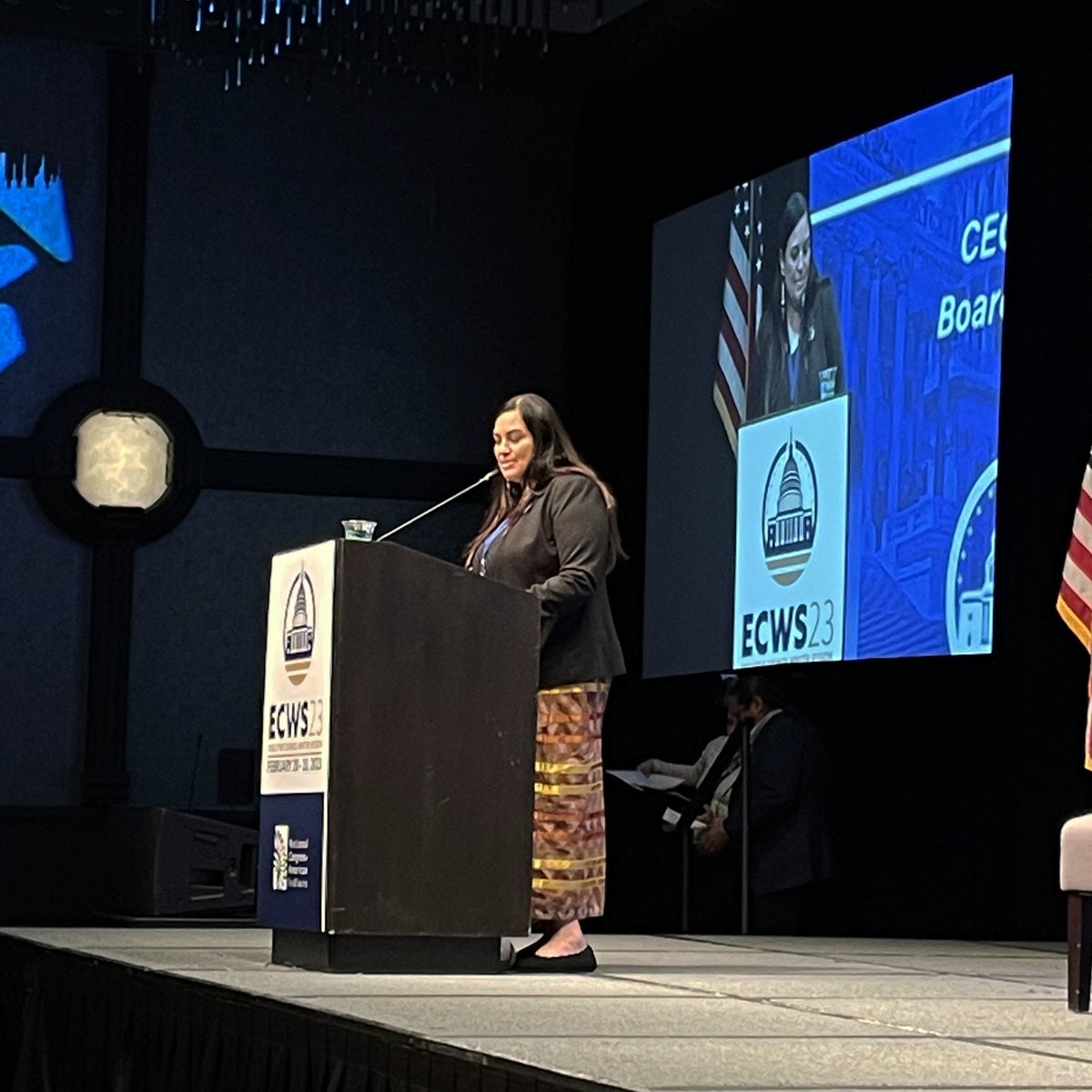 NCAI1944's tweet image. “Let’s get it done.” - @NABSHC CEO Deborah Parker on the need to reintroduce the Truth and Healing in Indian Boarding Schools Policies Act into Congress this year.