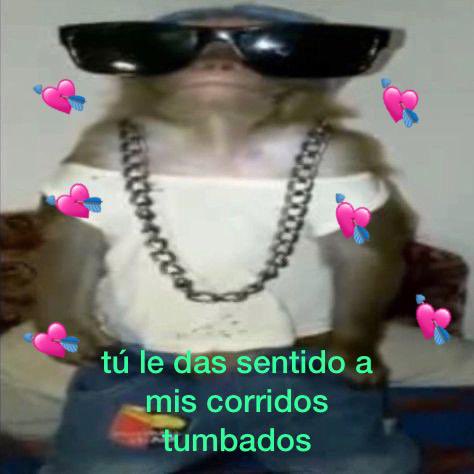 danne (@dannespinoo) on Twitter photo 