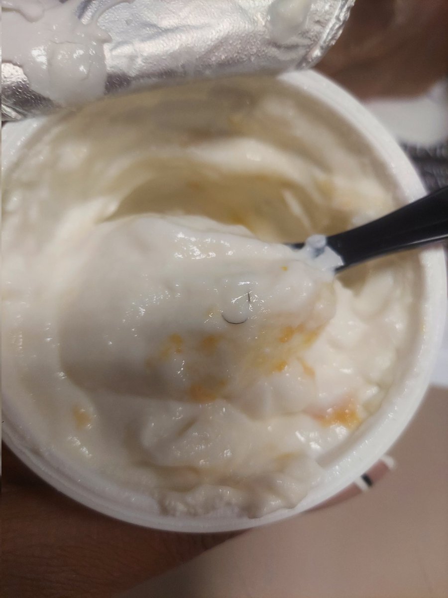 Why is there a hair in my <a href="/Chobani/">Chobani</a> yogurt that I just opened? 🤢😫😞