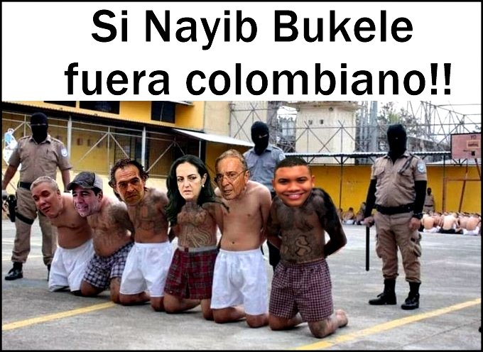 Marimondosky tweet media