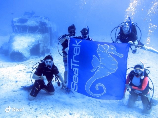 SeaTrekltd's tweet image. No experience required! Learn to dive or grown your skills this summer with SeaTrek BVI #scuba #learntodive #sailing #wreckdive #summercamp #summer2023