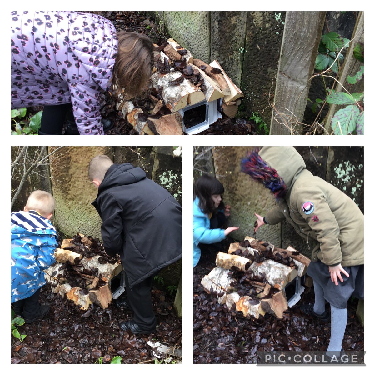 RhuPrimary tweet media