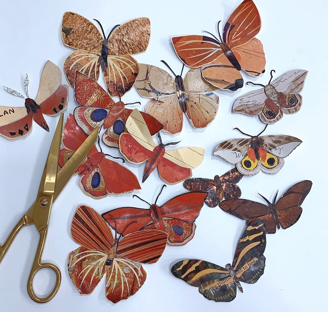 Dolan Geiman tweet media