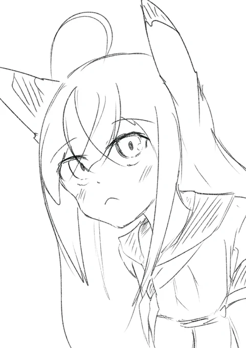 (⌒v⌒)おはようございます 