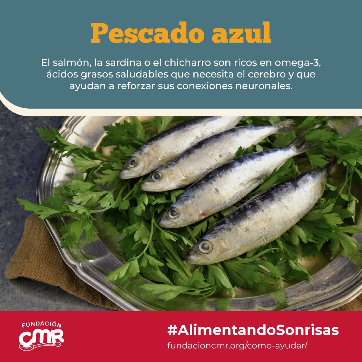 FUNDACION CMR AC tweet media