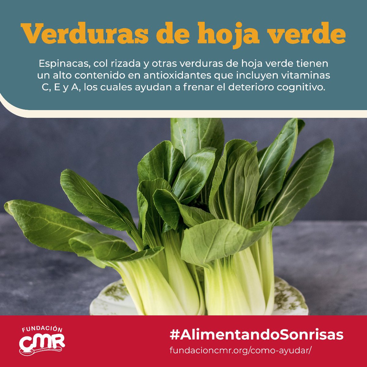 ¡Sabías qué hay alimentos que pueden ayudarnos a mejorar nuestro rendimiento en la escuela! 🤓🧠

Hoy te platicamos sobre algunos de estos alimentos para que los agregues a tu alimentación diaria y disfrutes de todos sus beneficios.