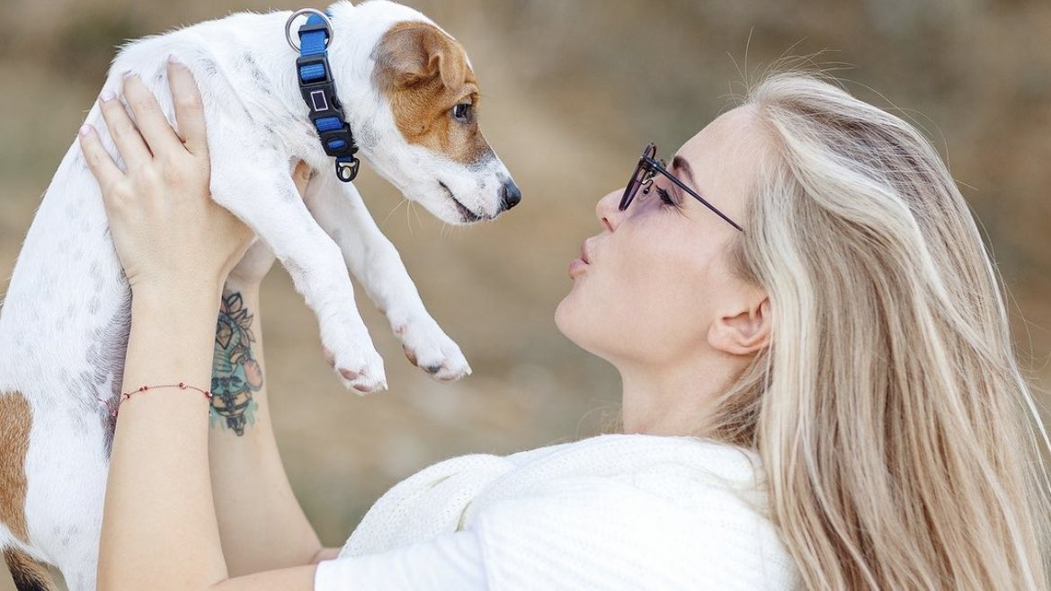 Our dogs are like family to us, and that's why they deserve only the best. 💝

#luxurydog #doglover #bnydogs #bitchnewyork