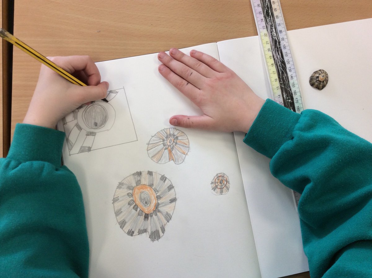 PennowethS's tweet photo. Wow! Amazing still-life drawing in Newlyn class today! #art #year3 #blueabyss #wearealwayslearning #teampennoweth https://t.co/WDXnK5hxv2