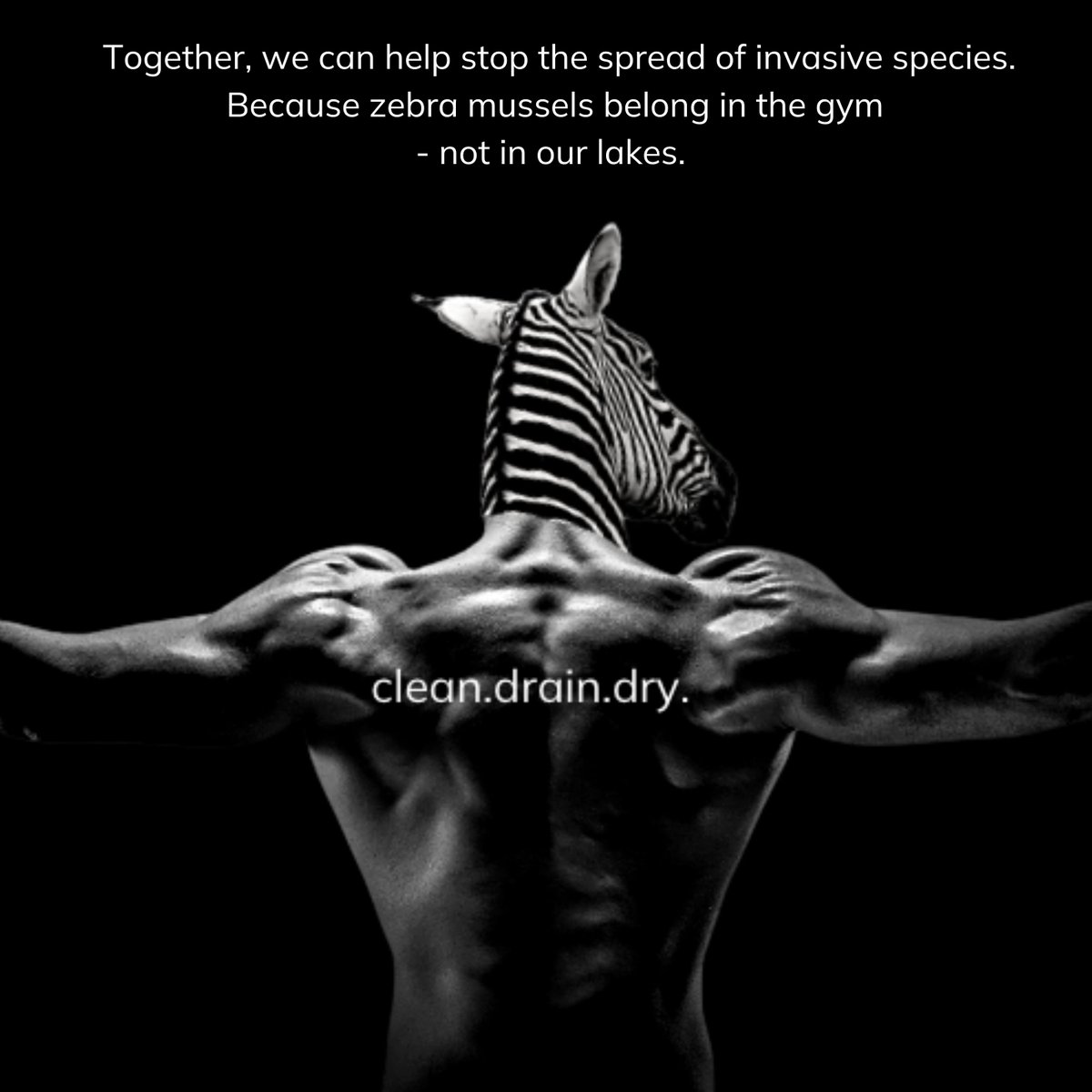 OKWildlifeDept's tweet photo. During National Invasive Species Awareness Week we'd like to remind you to help keep zebra mussels where they truly belong. https://t.co/xdrnhzS9q8