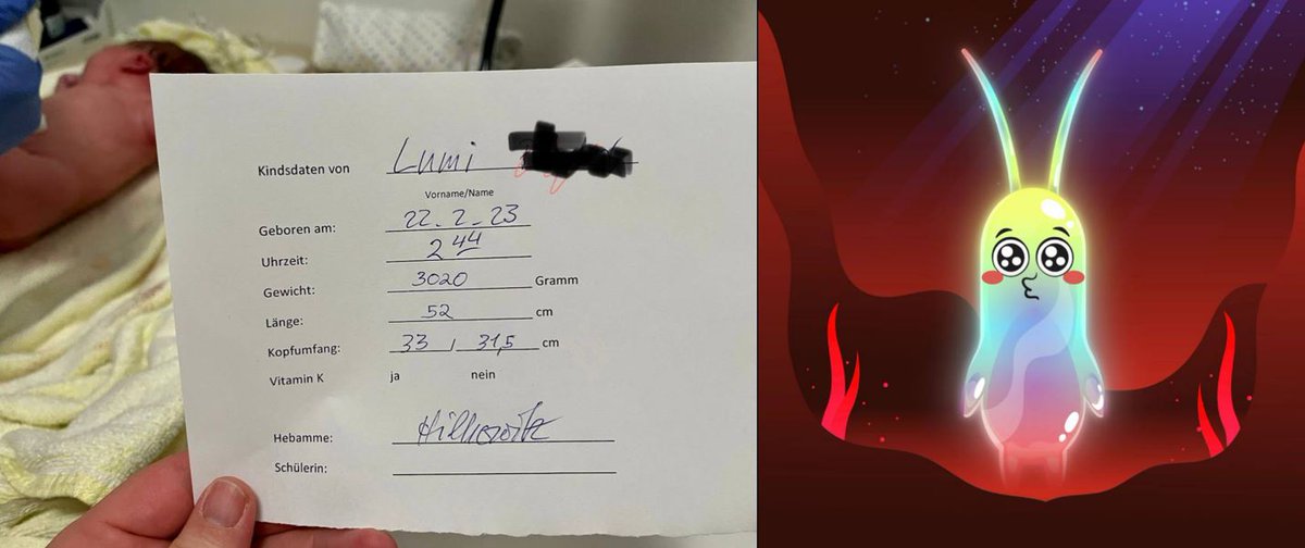 Tonight at 02:44 the world's first Lumi baby was born! The little cutie is healthy and lively! Of course we put a little guardian by her side! You two darlings, we wish you a lot of fun and love on our wonderful planet! ☀️#lumilove