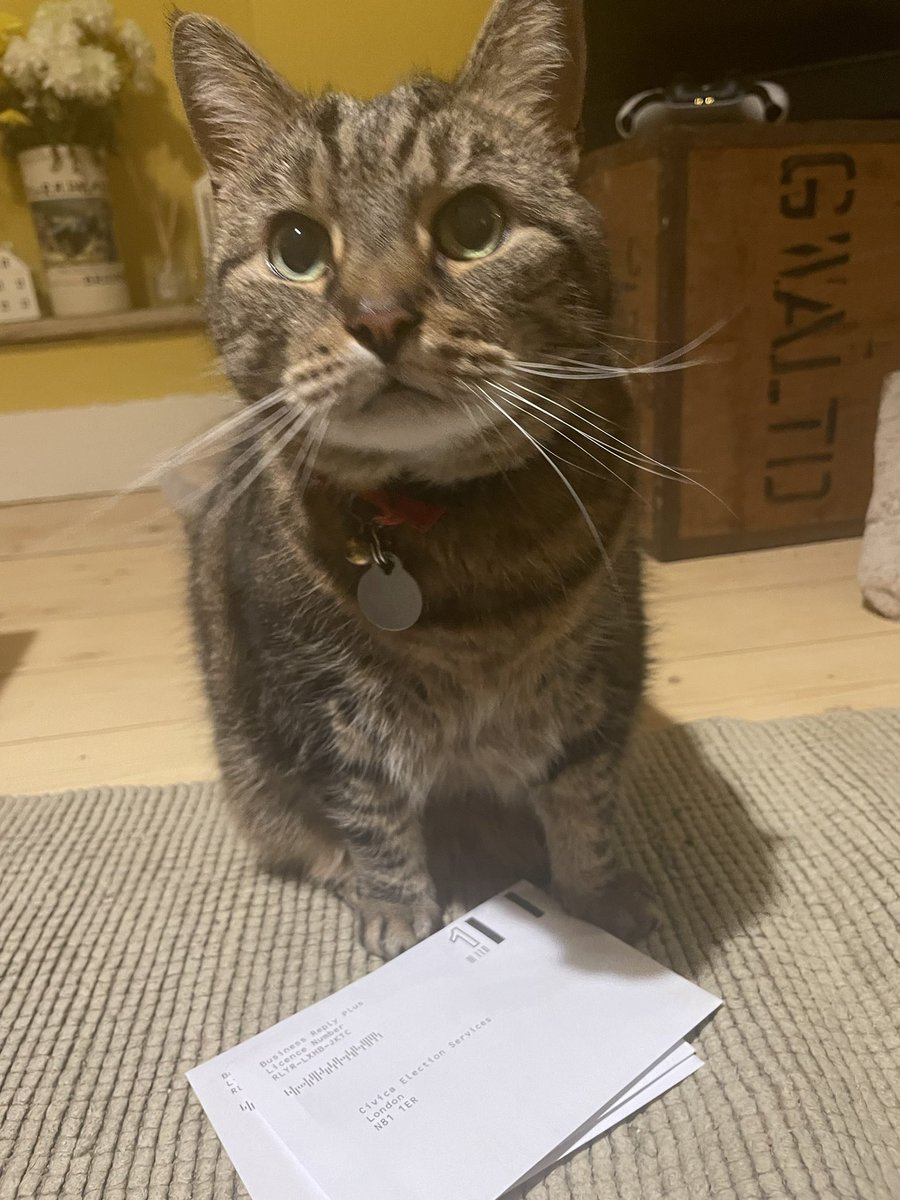 Ready to go to the post with yes votes… getting 🐾 of approval <a href="/ucu/">UCU</a> <a href="/KCL_UCU/">KCL UCU is balloting!</a> #ucurising