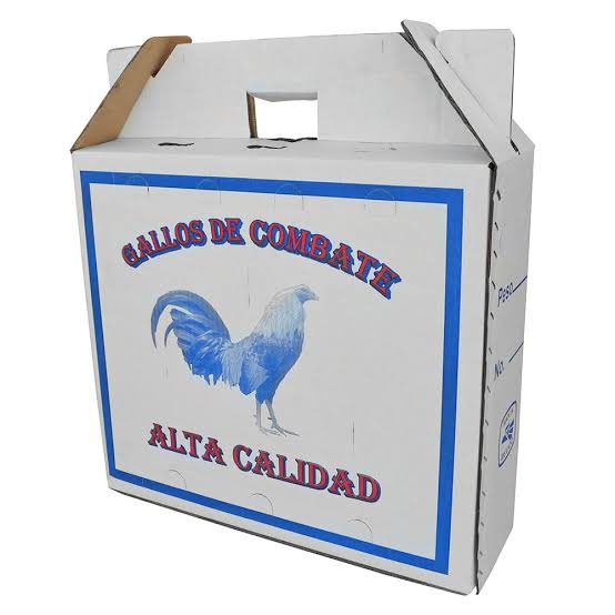 lord_pluma's tweet photo. Gallos de combate 🤔 https://t.co/tOvj0V47VU
