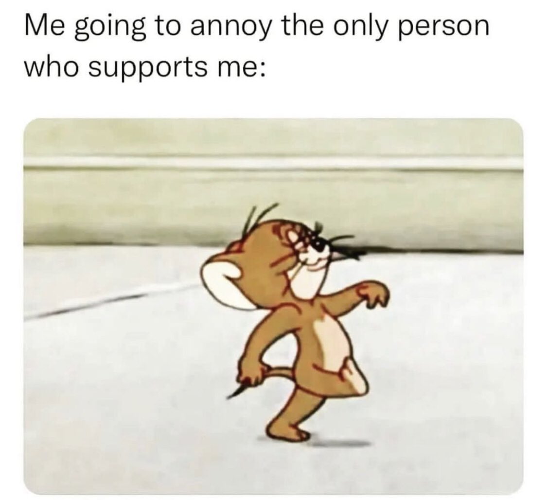 introvert memes (@introvertsmemes) on Twitter photo 