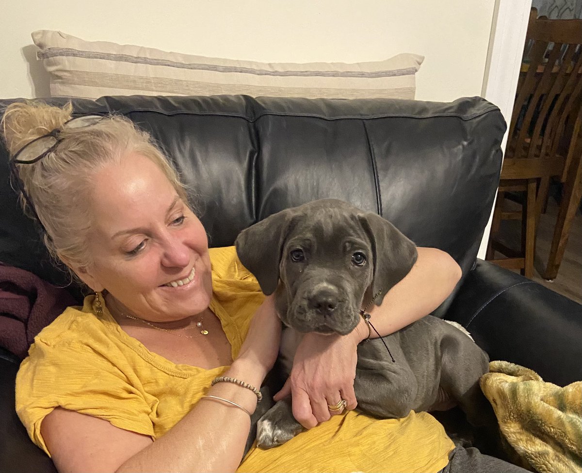 HcollinsJ's tweet photo. My niece introduced me to her little lady Bailey #puppylove she is such a little cuddler ♥️ #Mastiff she is gonna be a big girl https://t.co/xy1rLO5p7s