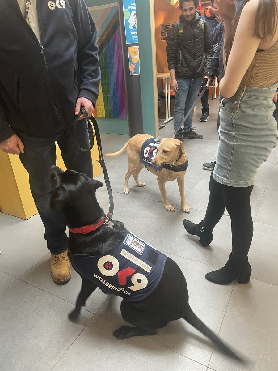 Rebecca Jones tweet media