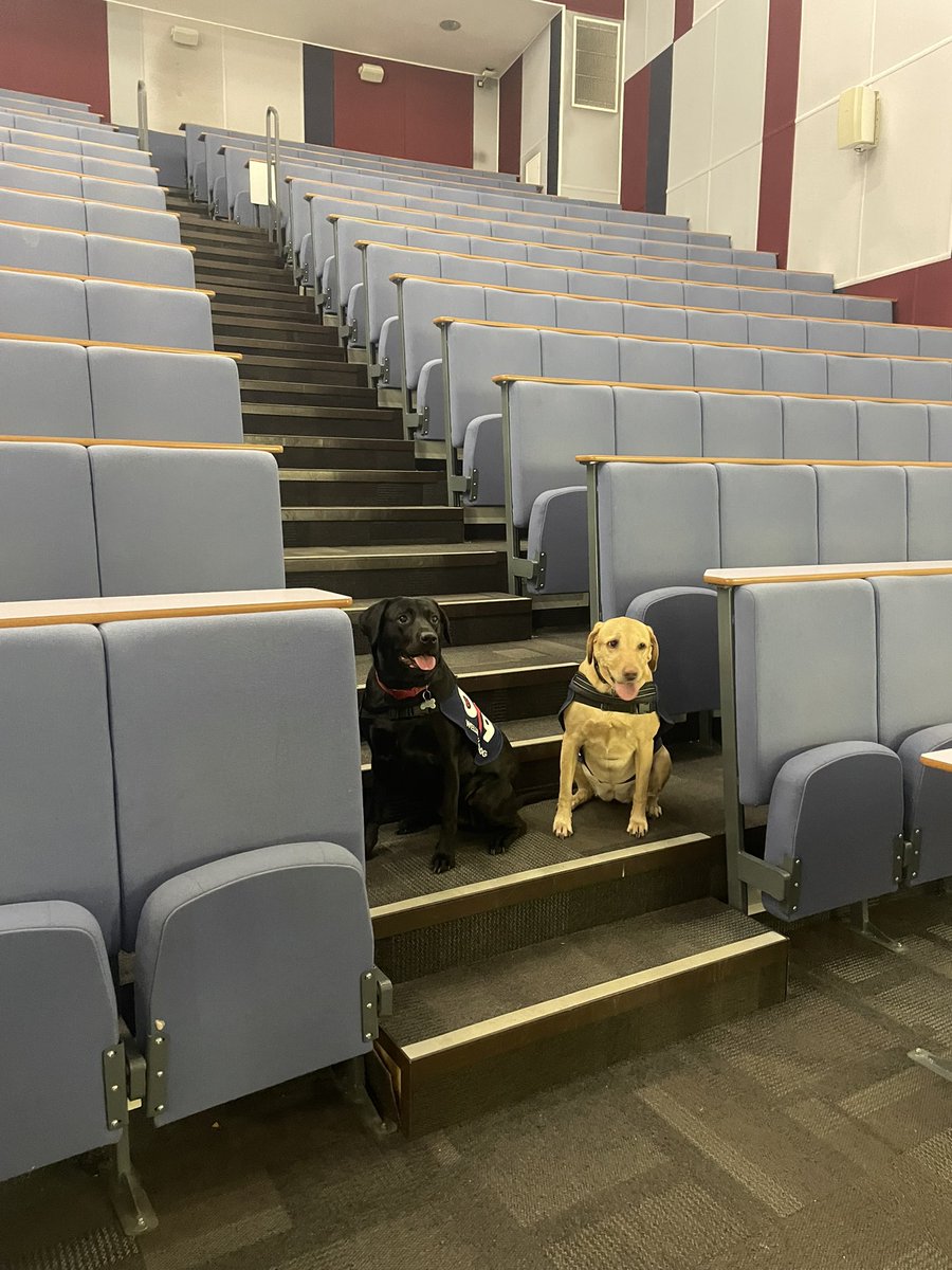 Rebecca Jones tweet media