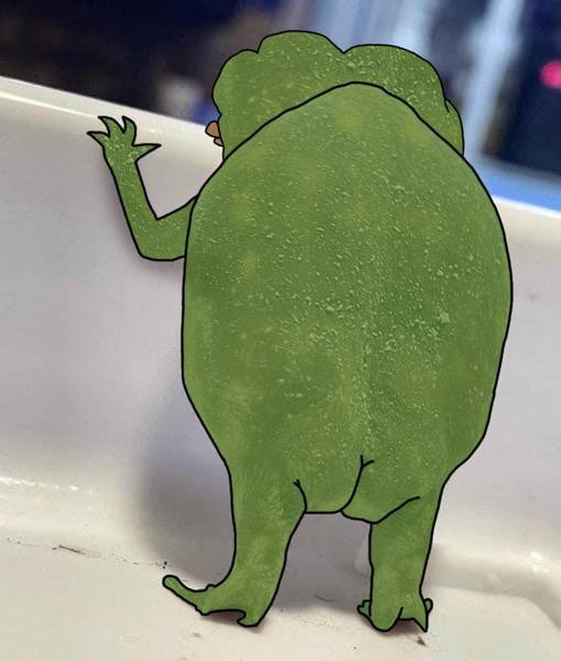 🐸Buddyart00🐸 tweet media
