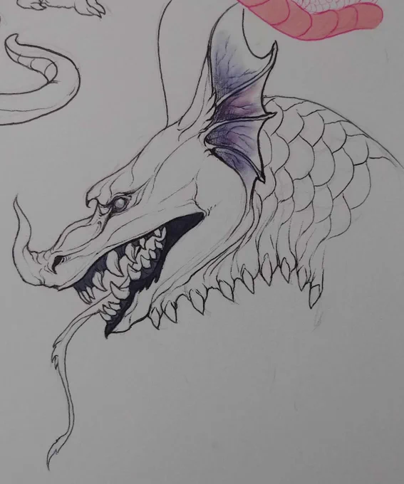Drew some dragons! Got medieval on 'em 