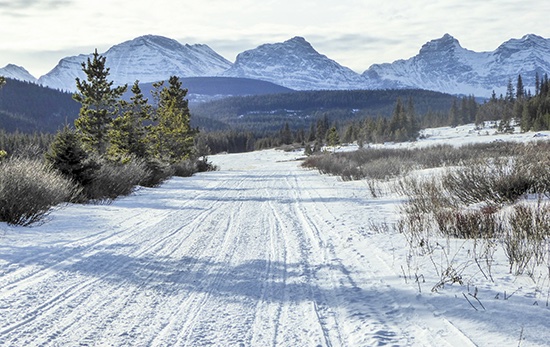 KananaskisTrail's tweet photo. Alberta Parks recently announced the Alberta OHV &amp; Alberta Snowmobile Associations have been designated as official Trail Managers for their trails. This does not make sense! Why? See https://t.co/HbpfR58M25 https://t.co/qbQWshLR5S