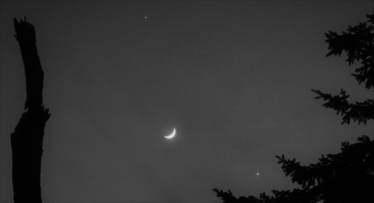 Und noch einmal in schwarz/weiß. Mond zwischen VENUS und Jupiter am 22.02.2023