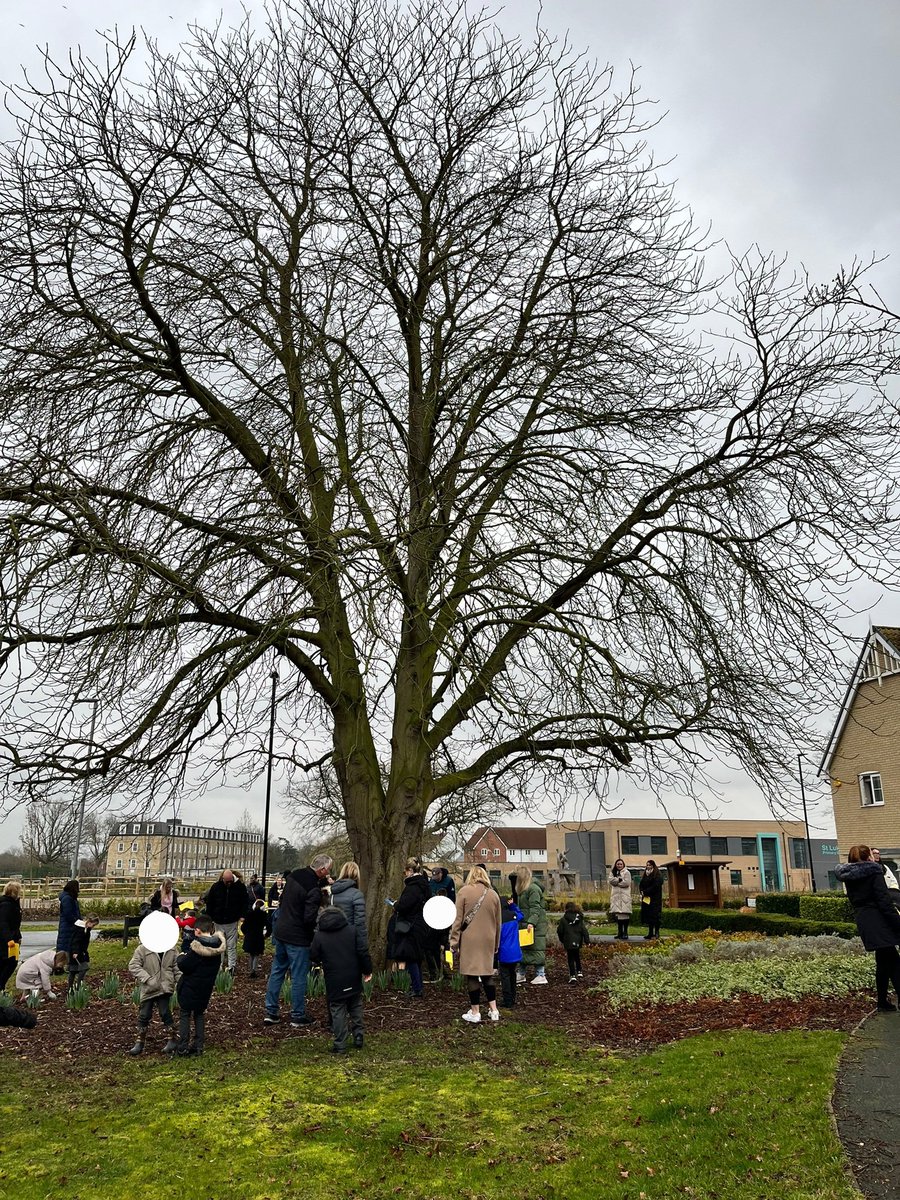 Whole school winter walk this afternoon looking at the changing seasons.