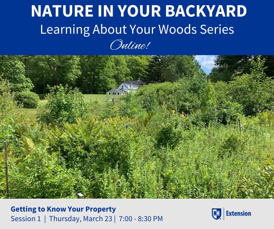 Our first session in the Nature in Your Backyard: Learning about your Woods Series explores how individual parcels can have a real impact when it comes to providing habitat for wildlife and protecting natural resource values and functions. extension.unh.edu/event/2023/03/…