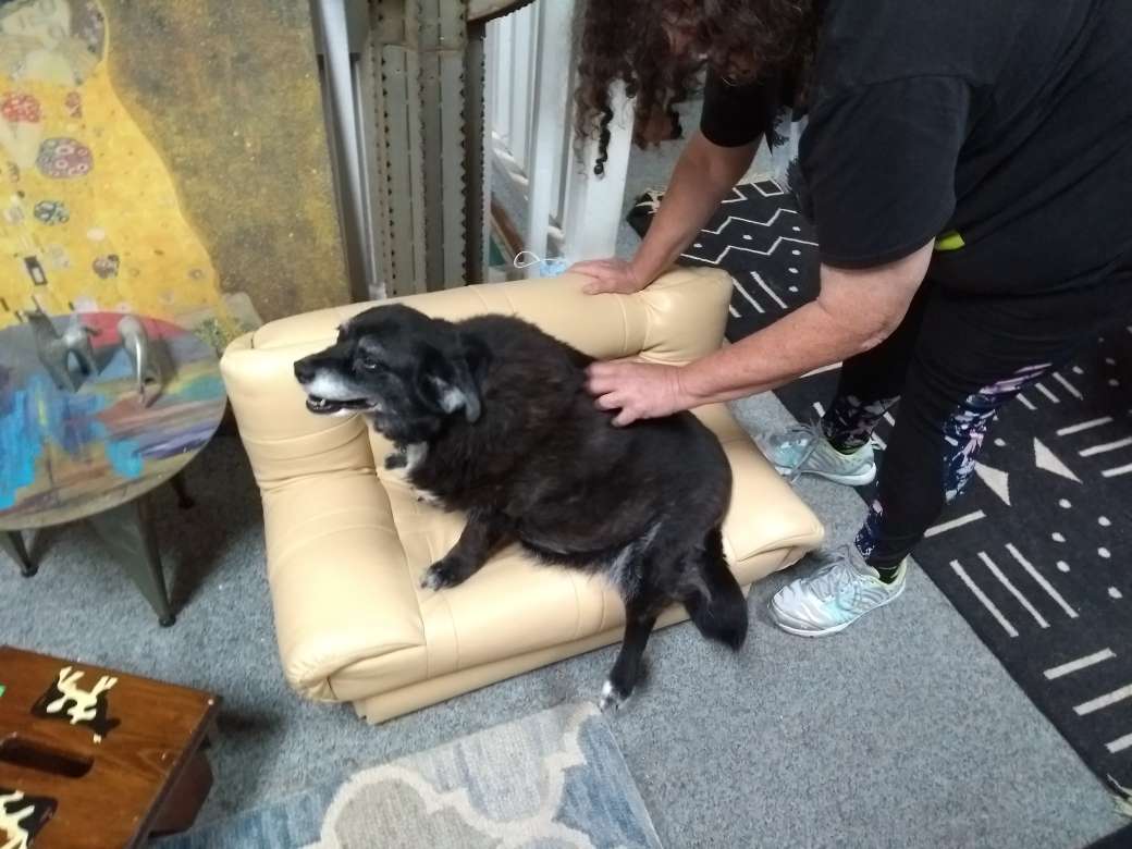 viiaitch's tweet photo. goodbye to my best girl https://t.co/DJyLGviOGw